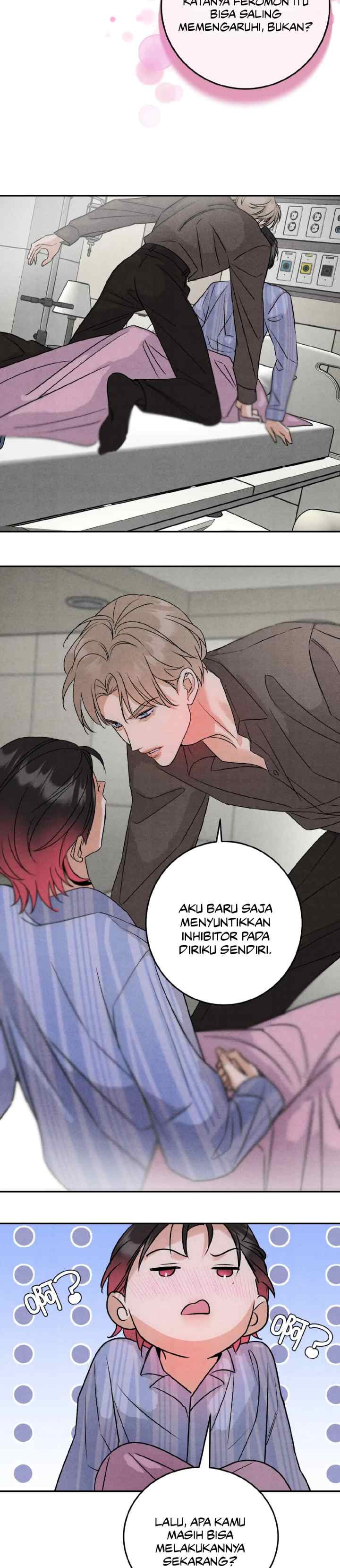 Transmigrating as Mr. Alpha's Golden Goose chapter 23 halaman 12