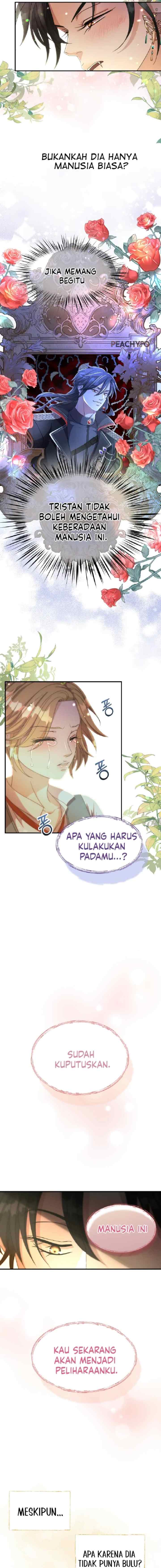 Wolf-Archduke's Companion chapter 2 halaman 4