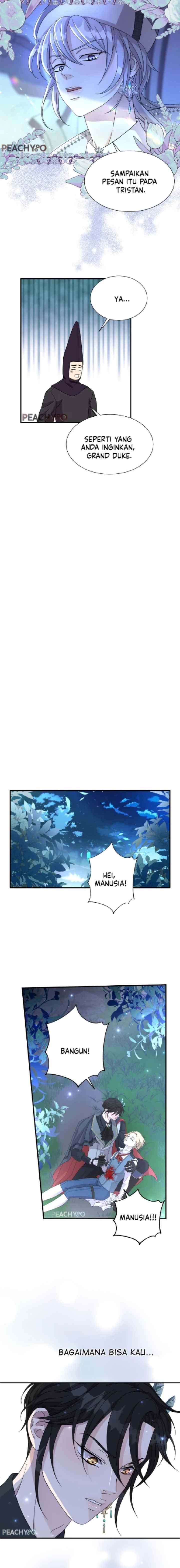 Wolf-Archduke's Companion chapter 2 halaman 15