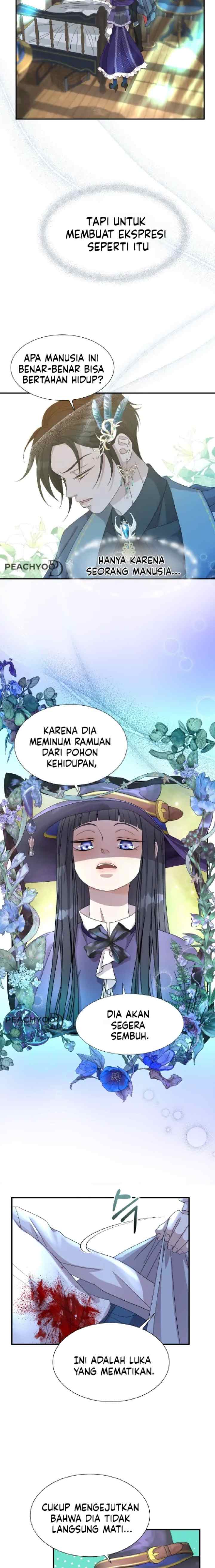 Wolf-Archduke's Companion chapter 3 halaman 11