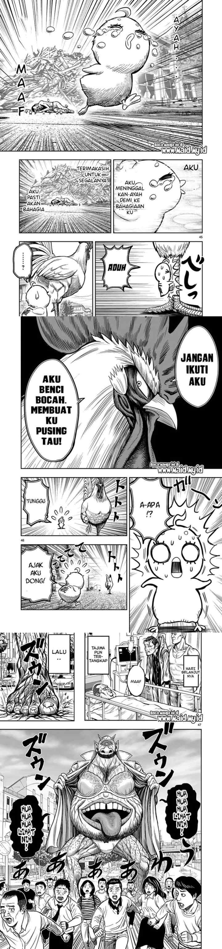 Rooster Fighter chapter 5 halaman 16