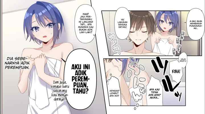 Jitsu wa Gimai (Imouto) deshita. ~Saikin de Kitagiri no Otouto no Kyorikan ga Yatara Chikaiwake~ chapter 0 halaman 4