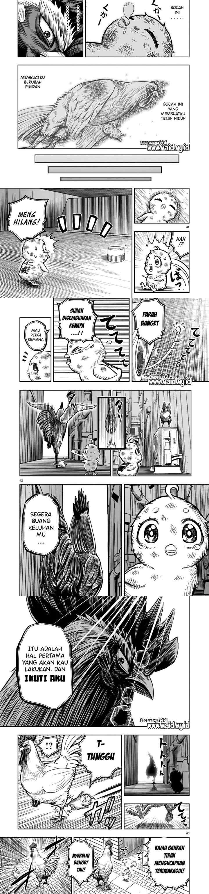 Rooster Fighter chapter 6 halaman 15