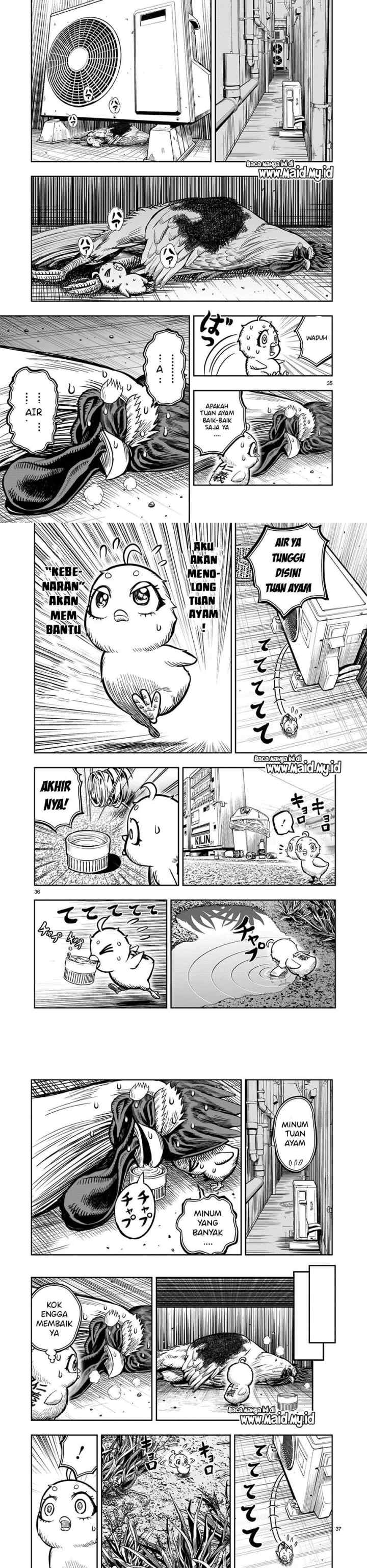 Rooster Fighter chapter 6 halaman 13