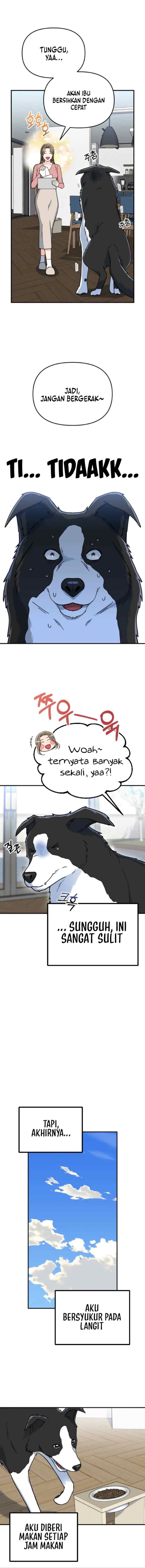Father Like A Dog chapter 1 halaman 10