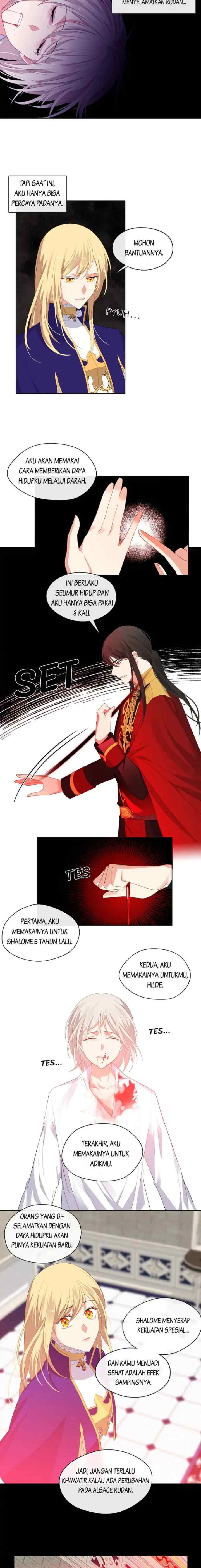 La Compagne de L'Empereur chapter 73 halaman 11