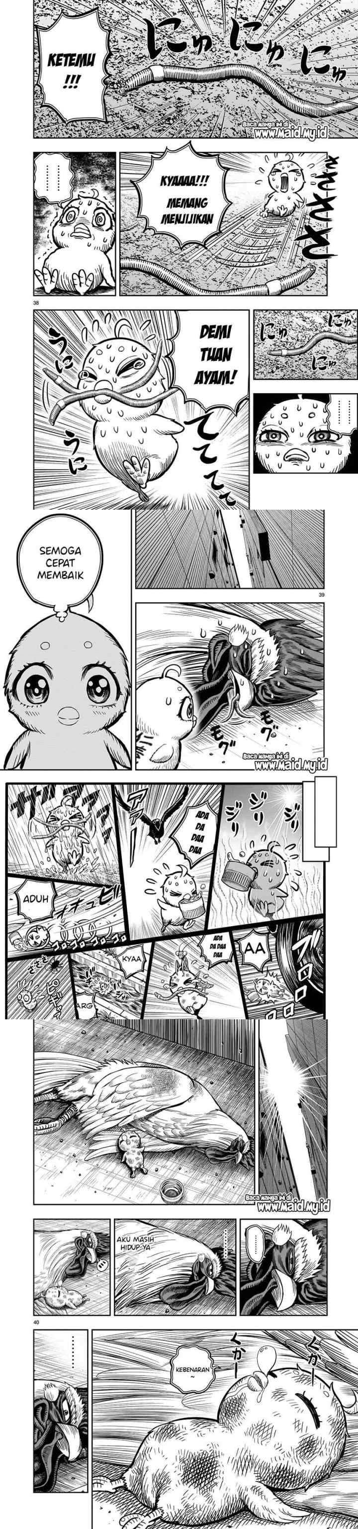 Rooster Fighter chapter 6 halaman 14