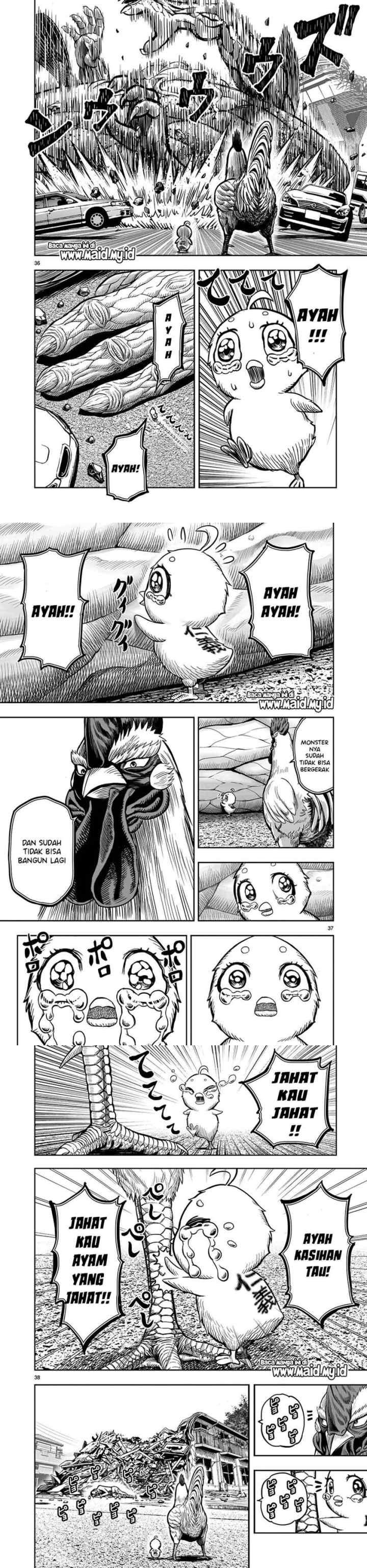 Rooster Fighter chapter 5 halaman 13