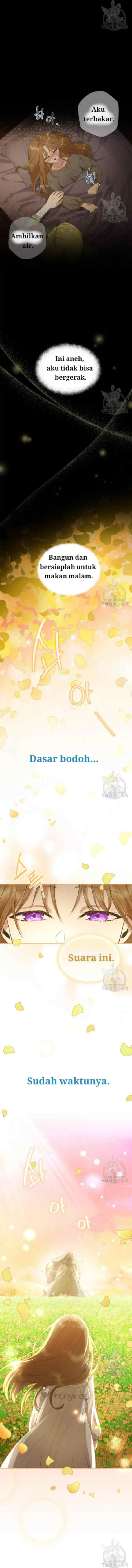 The Blooming Violet in the Back Garden chapter 2 halaman 5