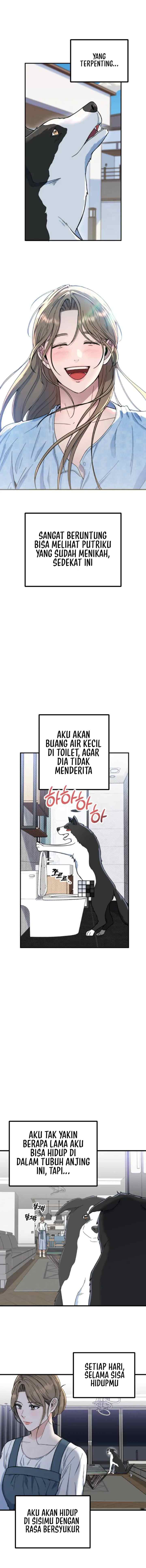 Father Like A Dog chapter 1 halaman 12