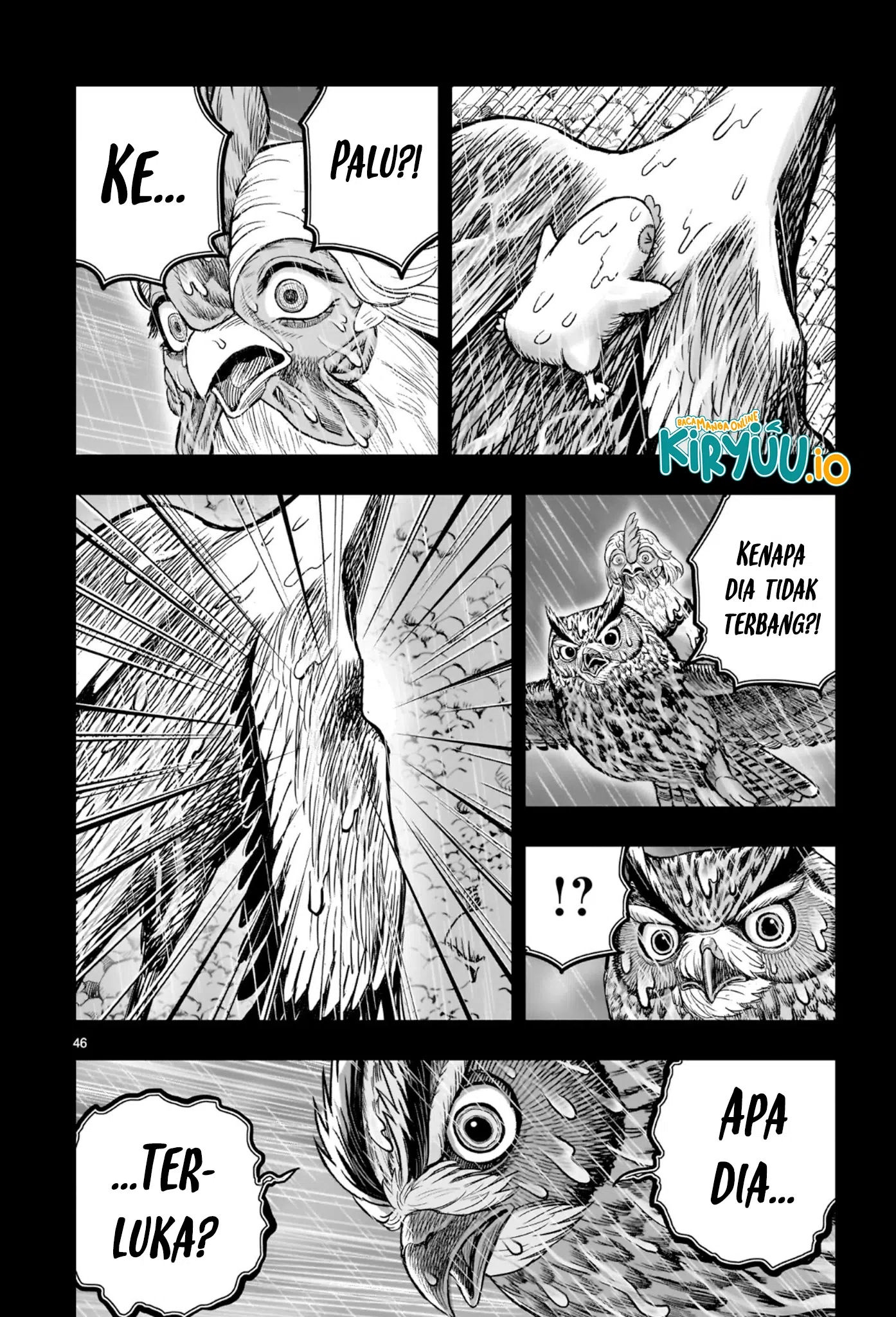 Baca Niwatori Fighter - Chapter 53 halaman 41