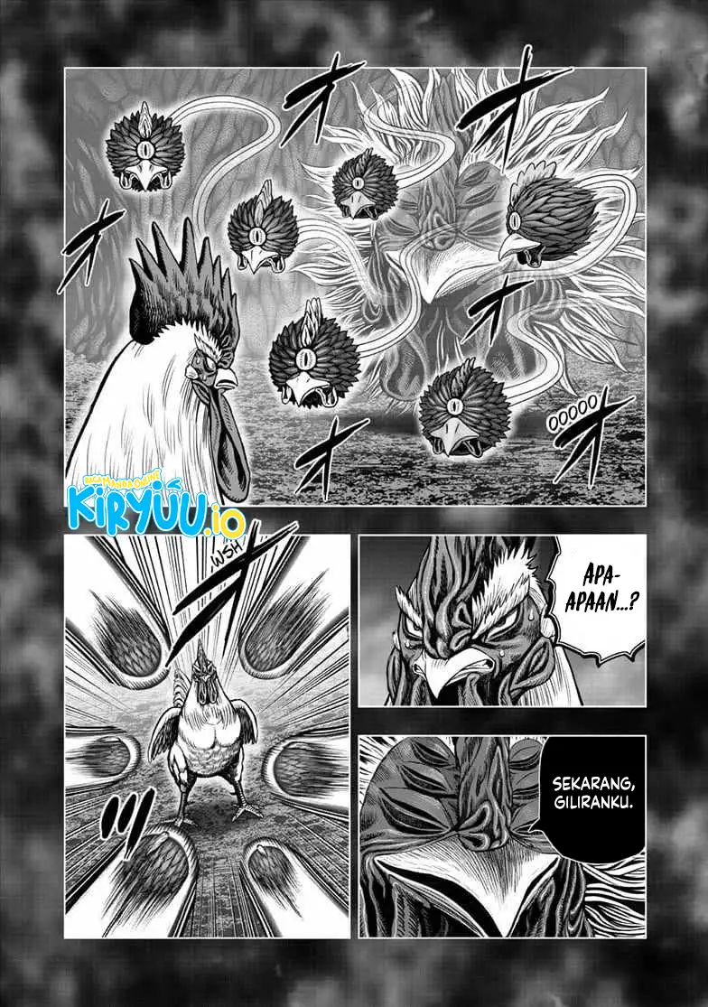 Baca Niwatori Fighter - Chapter 56 halaman 11
