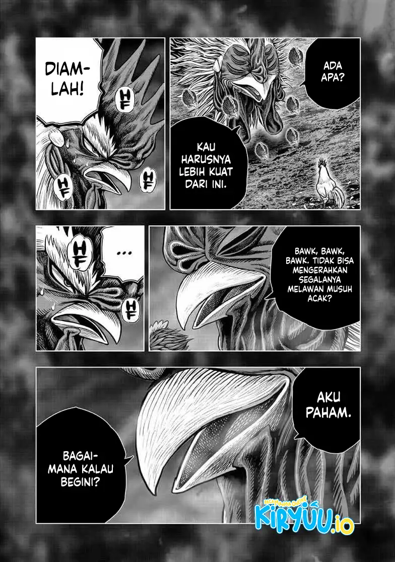 Baca Niwatori Fighter - Chapter 56 halaman 15