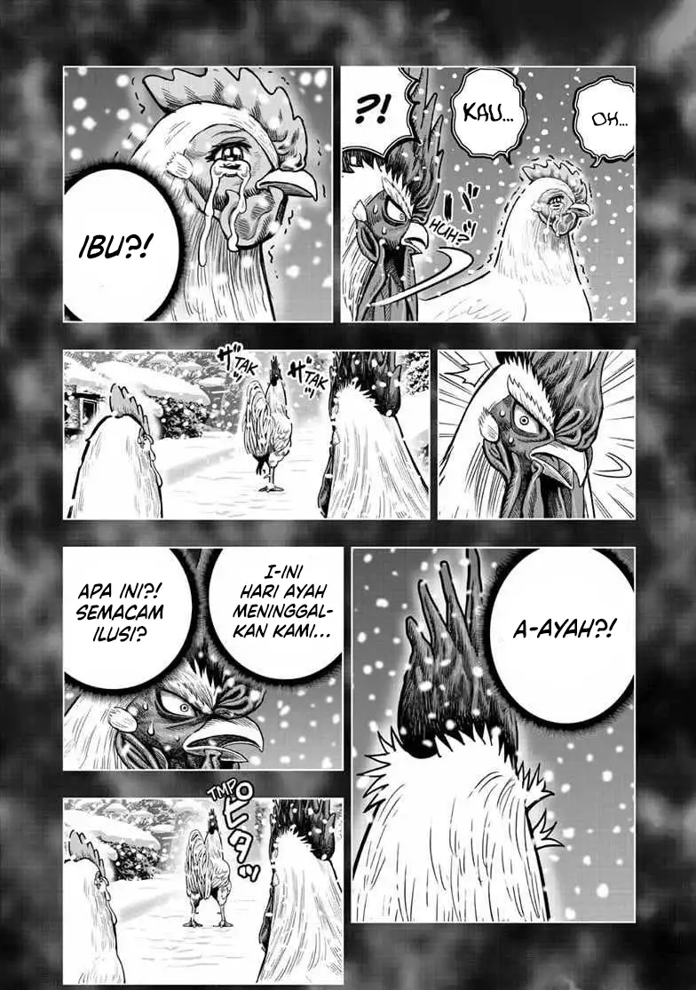 Baca Niwatori Fighter - Chapter 56 halaman 17
