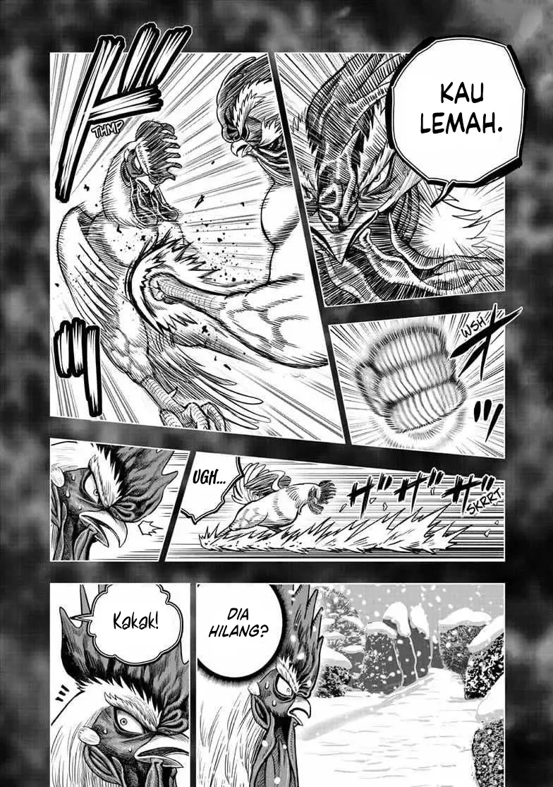 Baca Niwatori Fighter - Chapter 56 halaman 21