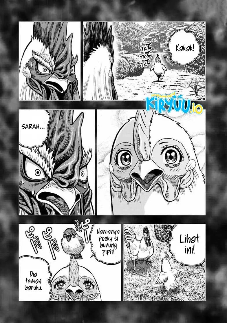 Baca Niwatori Fighter - Chapter 56 halaman 22