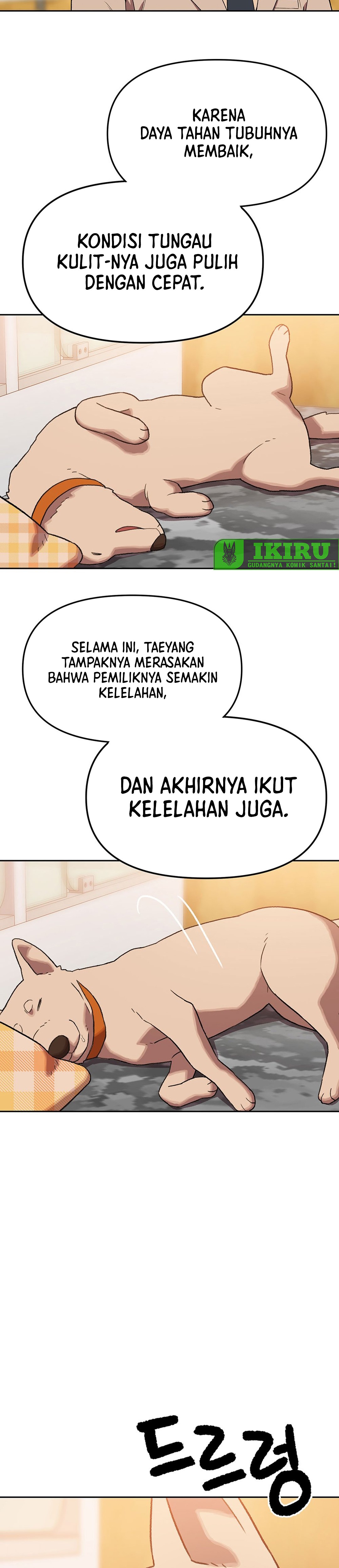 Rainbow Bridge Watchman chapter 196 halaman 23