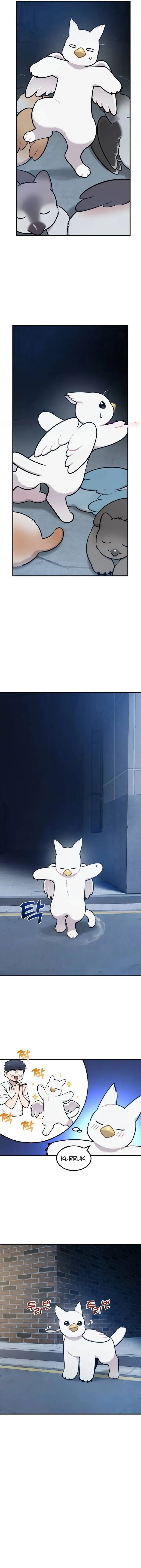 Hello, Fluffy Griffin! chapter 40 halaman 12