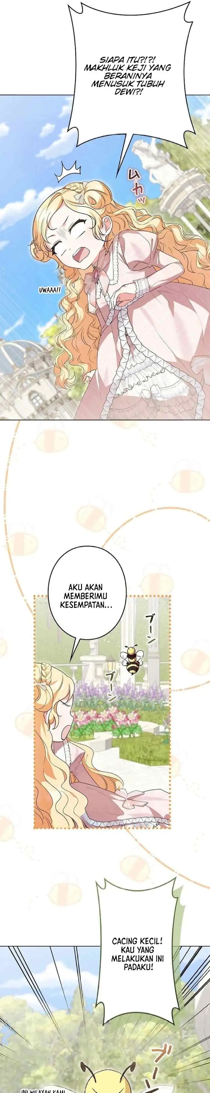 008__001.jpg