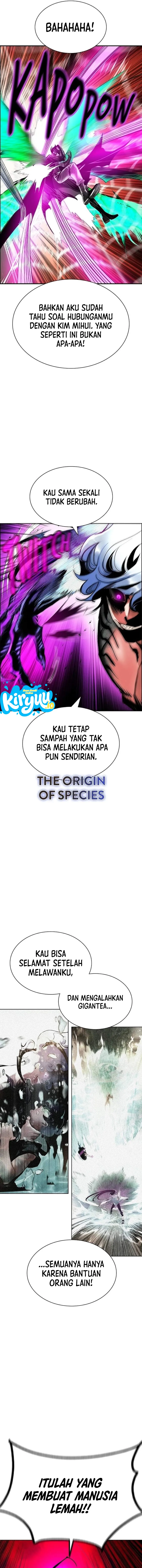 13.webp