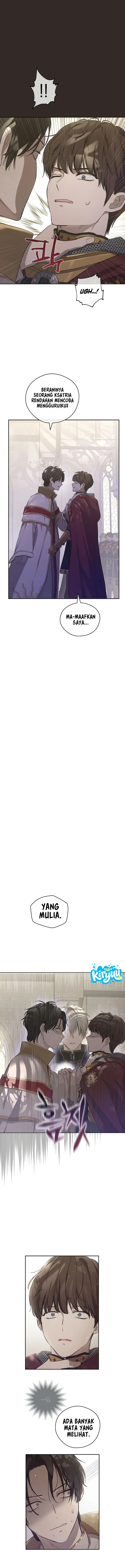 14.webp