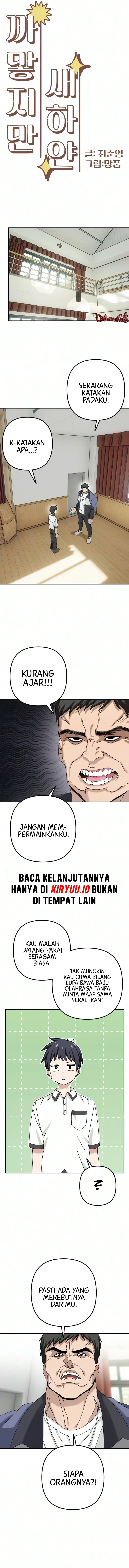 02.webp