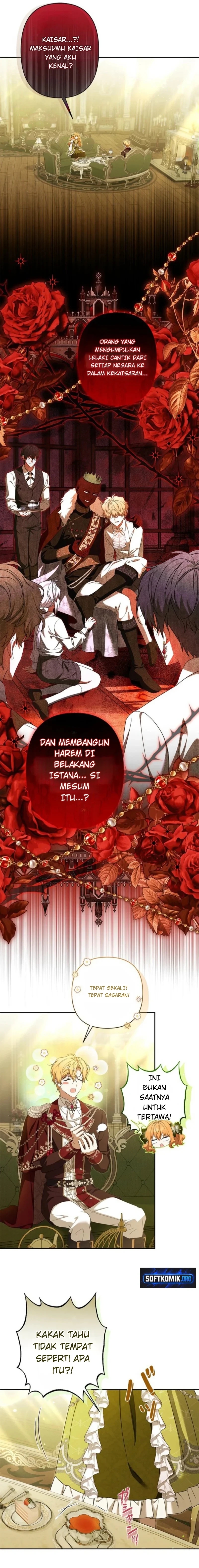 04.jpg