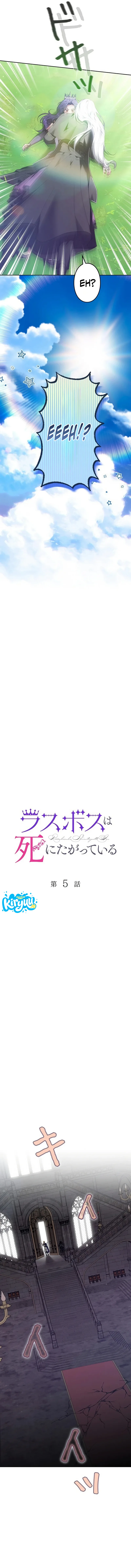05.webp
