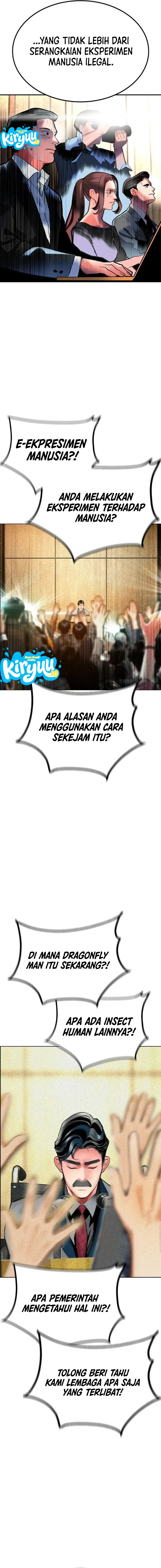 11.webp