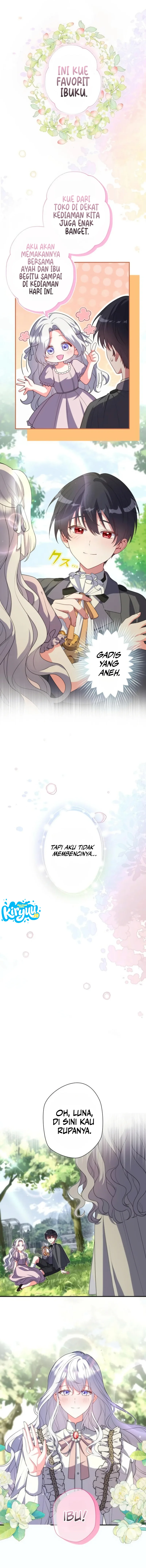 11.webp