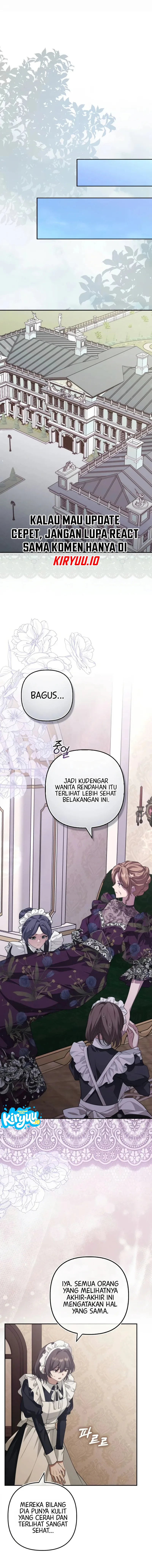 13.webp