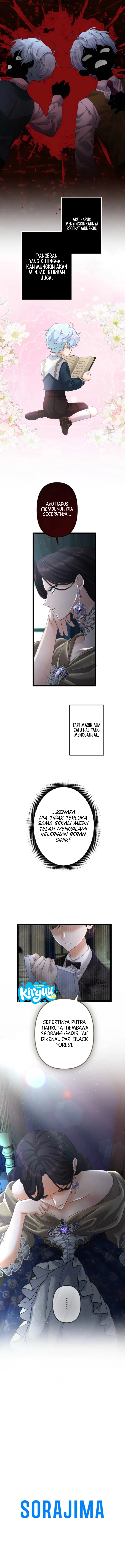13.webp