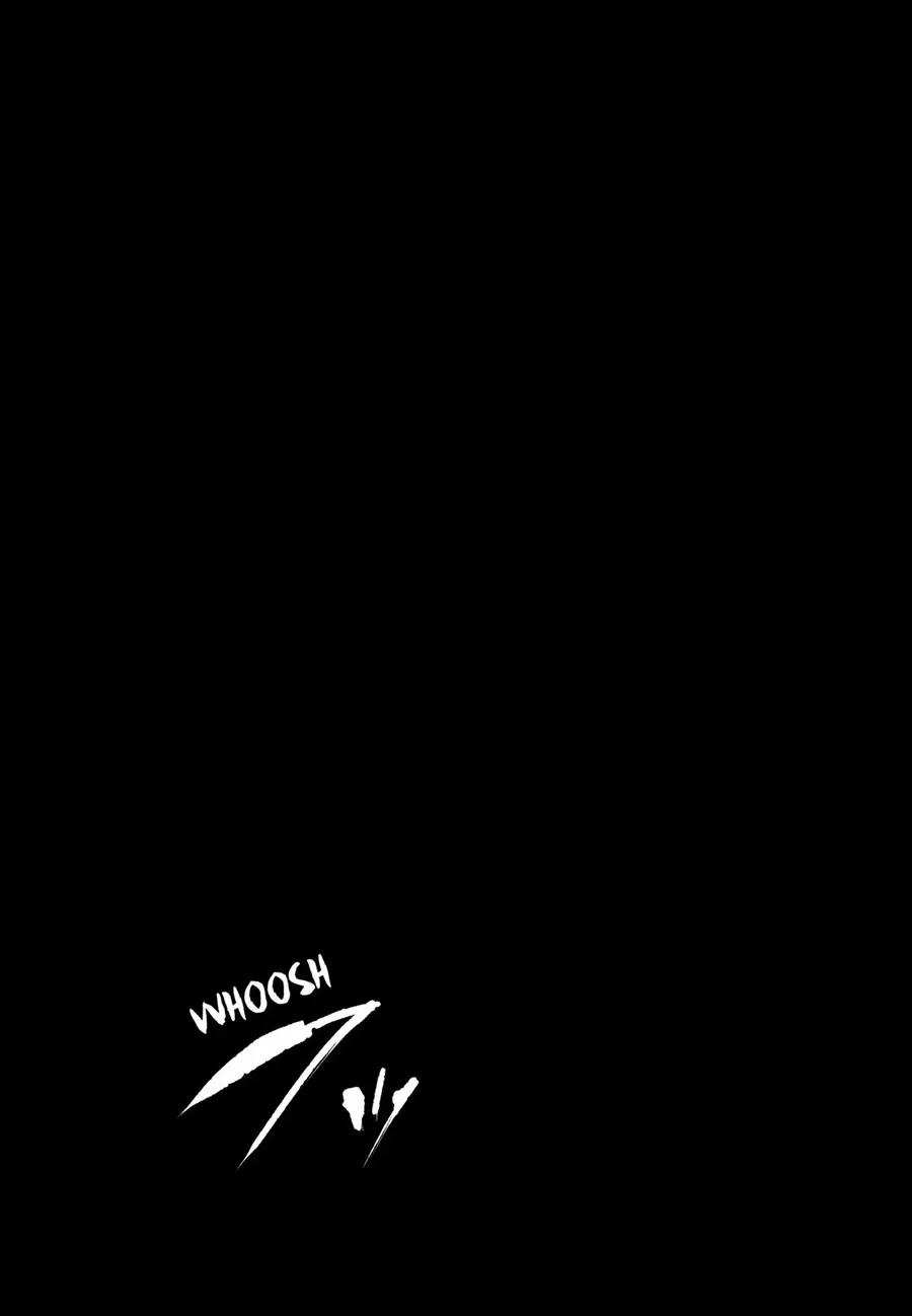 14.webp