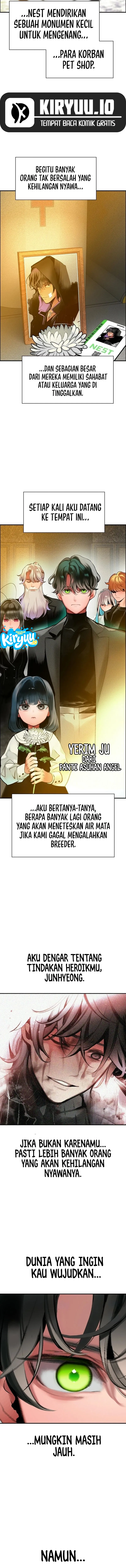19.webp