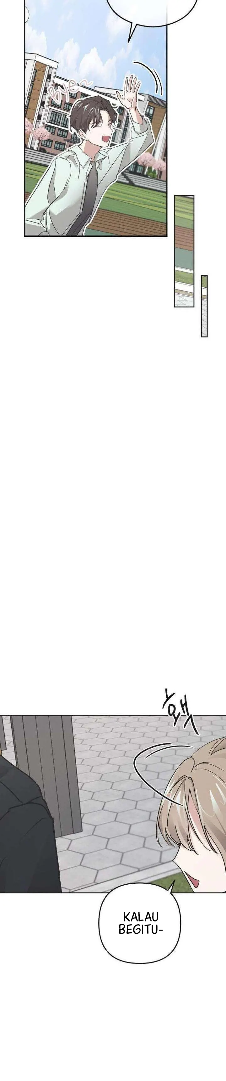 22.webp