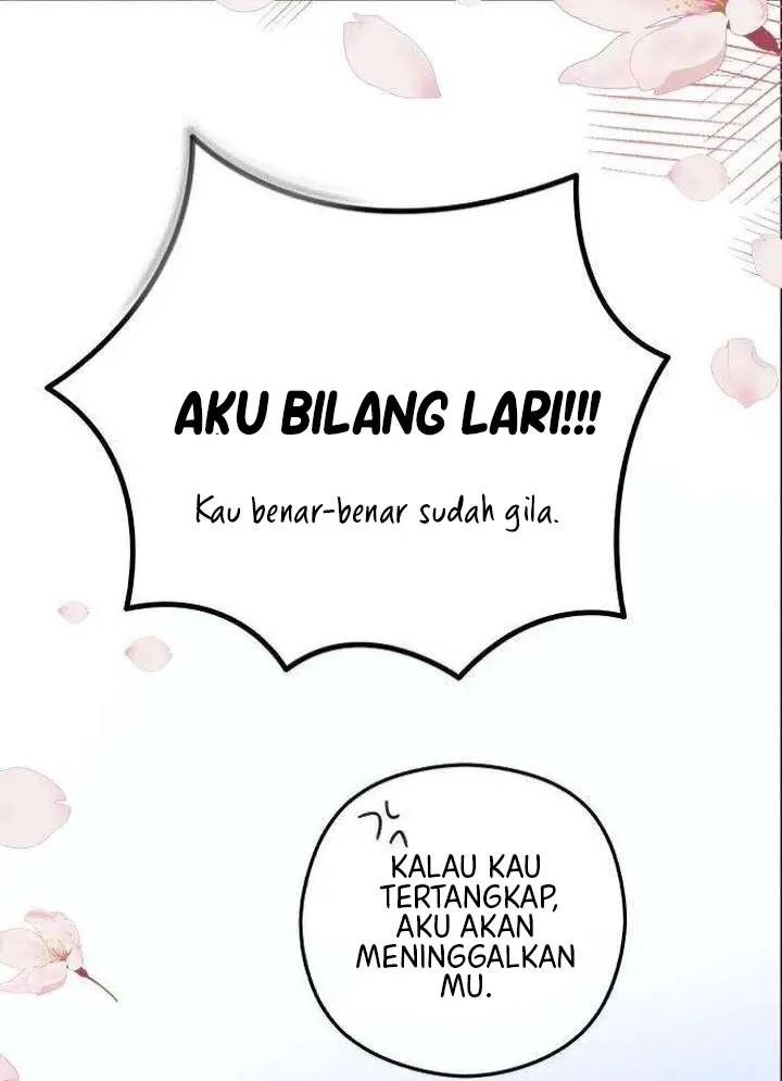 29.webp
