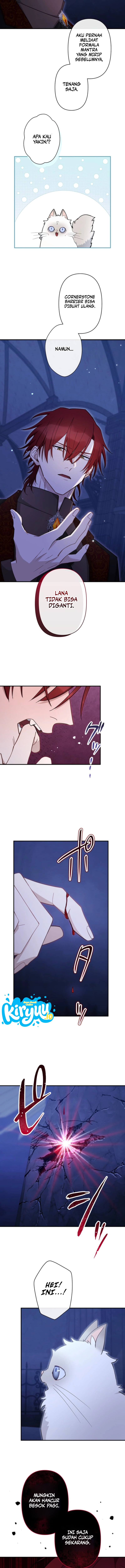 005.webp