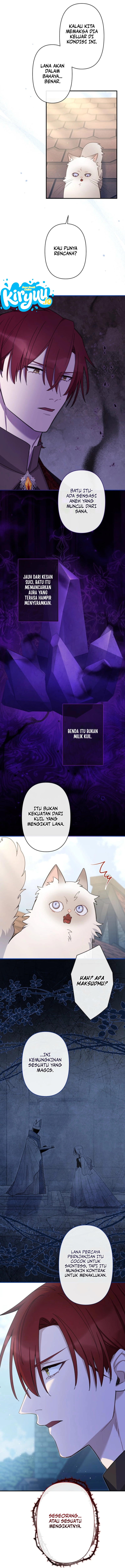 011.webp