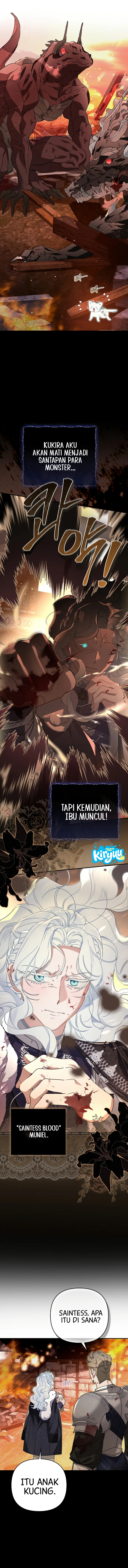 02.webp