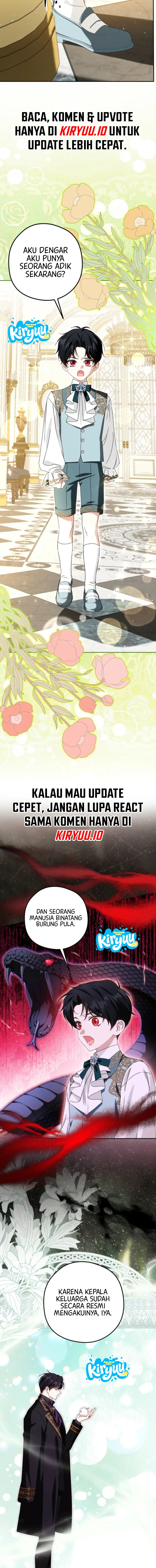 06.webp