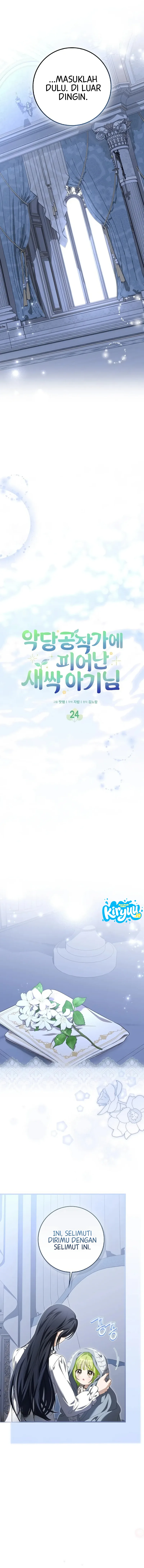 06.webp
