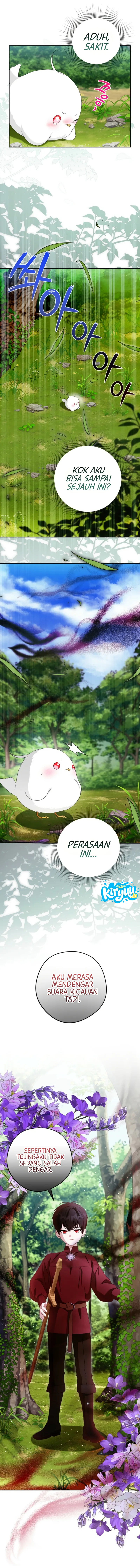 06.webp
