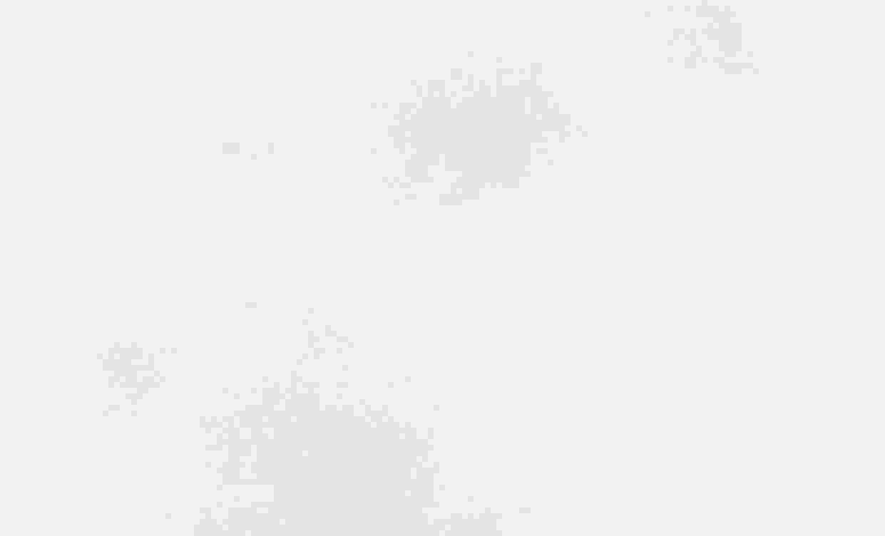 061.jpg