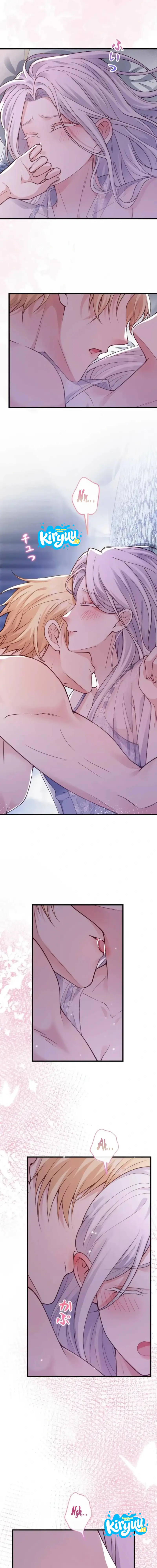 07.webp
