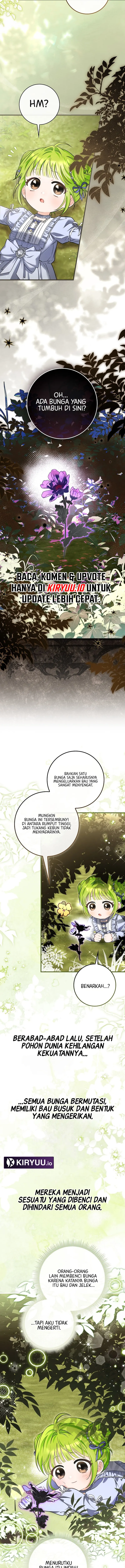 07.webp