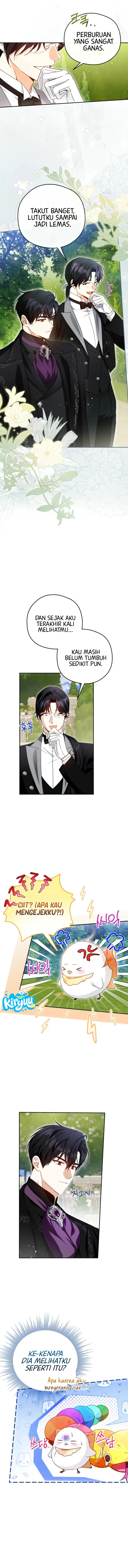 07.webp