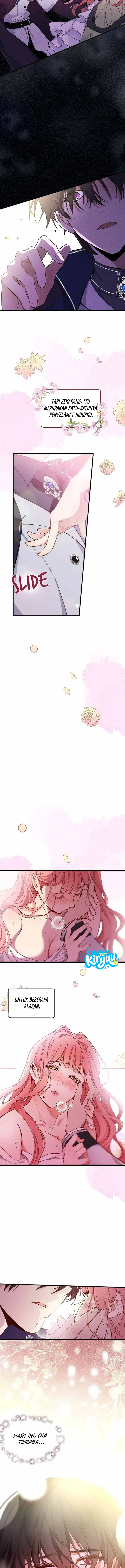 07.webp