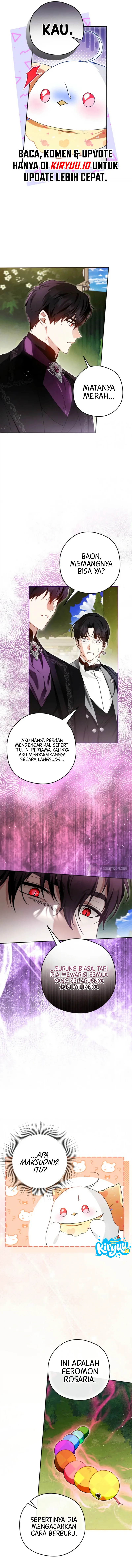 08.webp