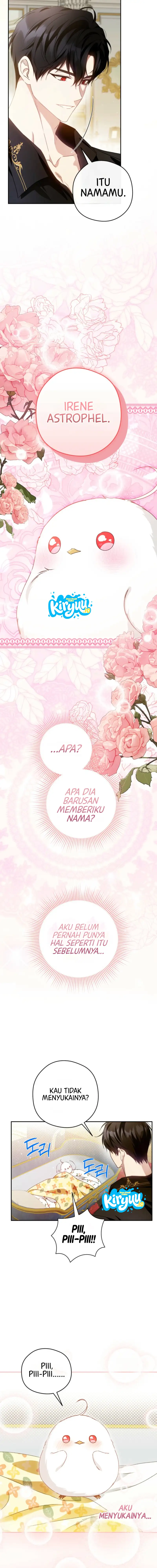 09.webp