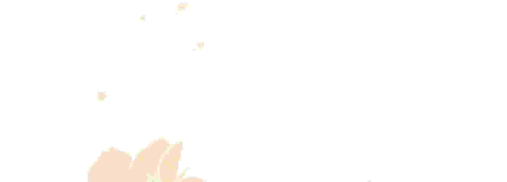 105.jpg